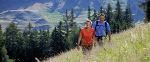 bild 33